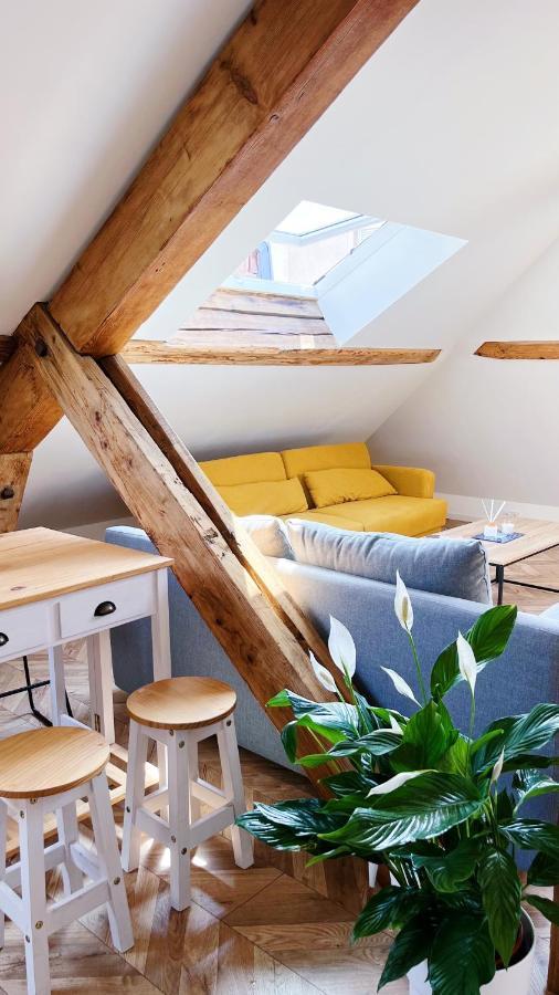 Les Appartements De Romain Et Julien Dijon Exterior foto