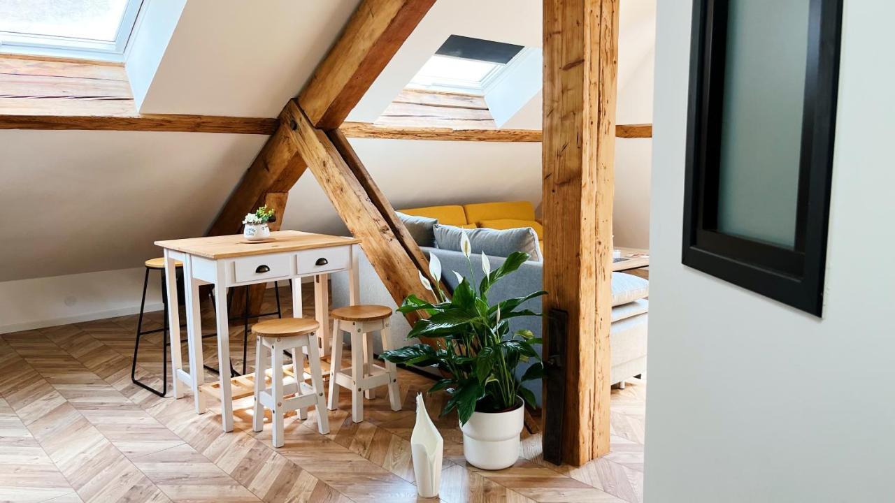 Les Appartements De Romain Et Julien Dijon Exterior foto