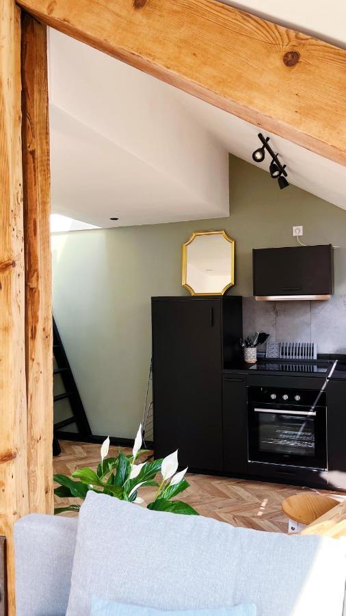 Les Appartements De Romain Et Julien Dijon Exterior foto