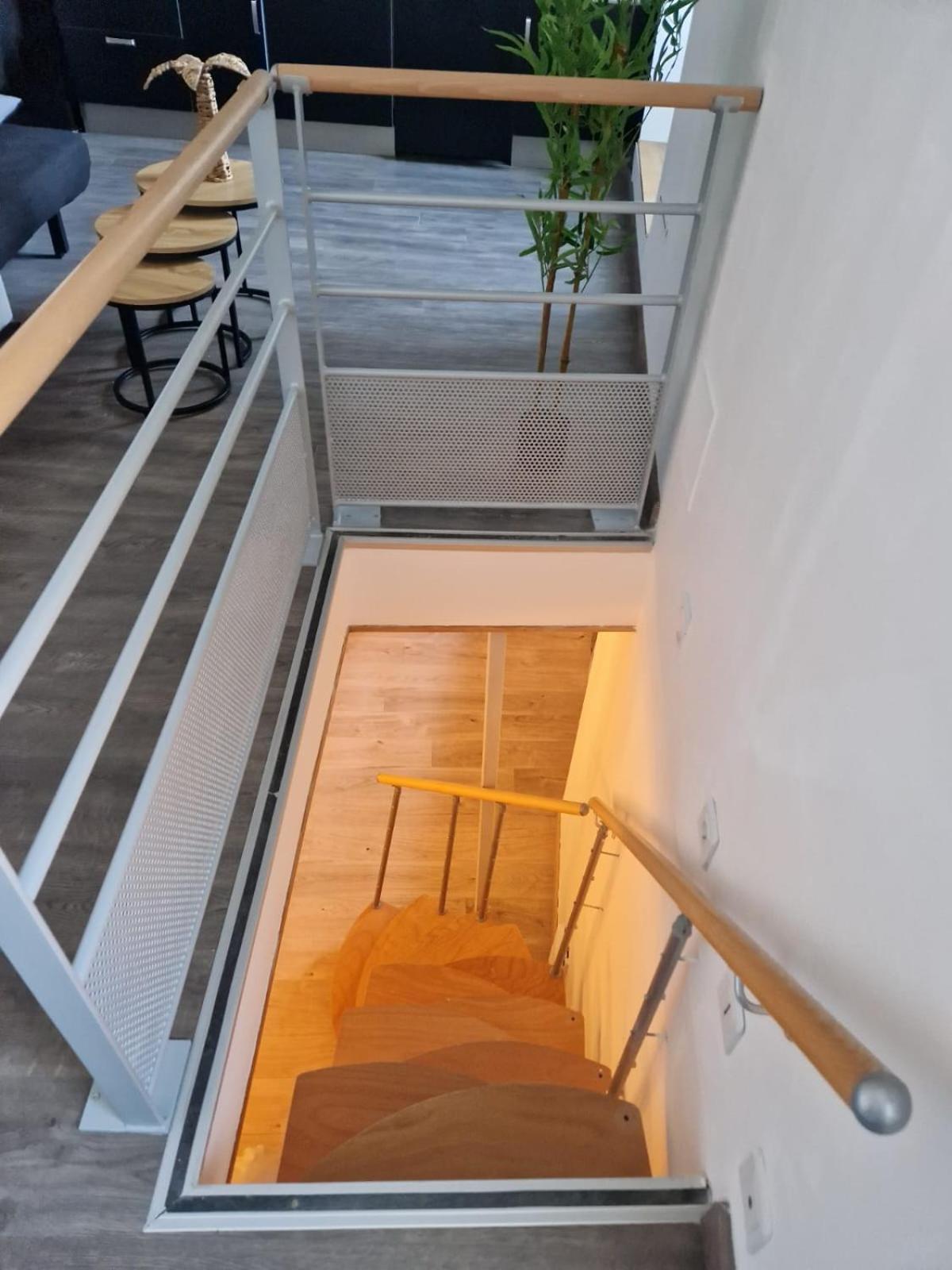 Les Appartements De Romain Et Julien Dijon Exterior foto