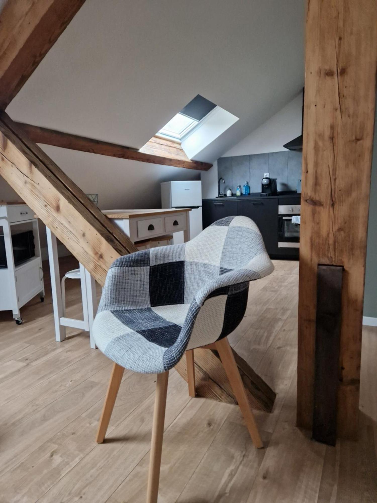Les Appartements De Romain Et Julien Dijon Exterior foto