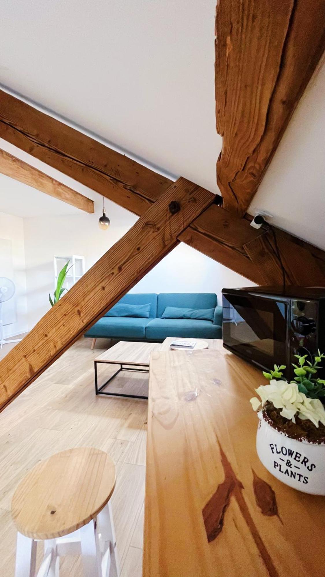 Les Appartements De Romain Et Julien Dijon Exterior foto