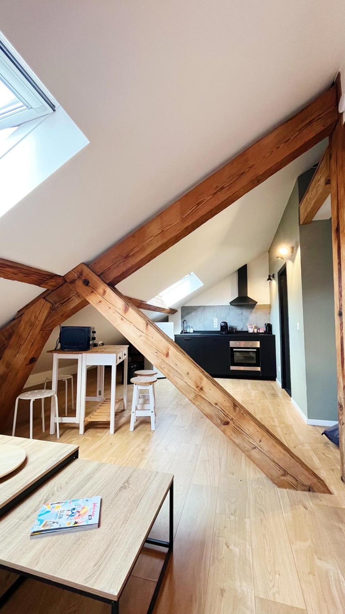 Les Appartements De Romain Et Julien Dijon Exterior foto