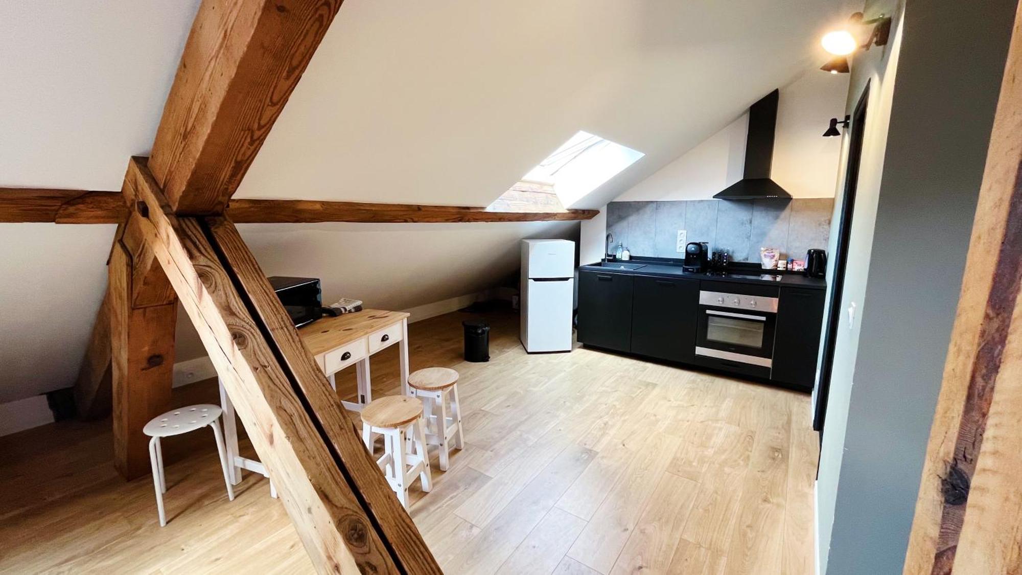 Les Appartements De Romain Et Julien Dijon Exterior foto